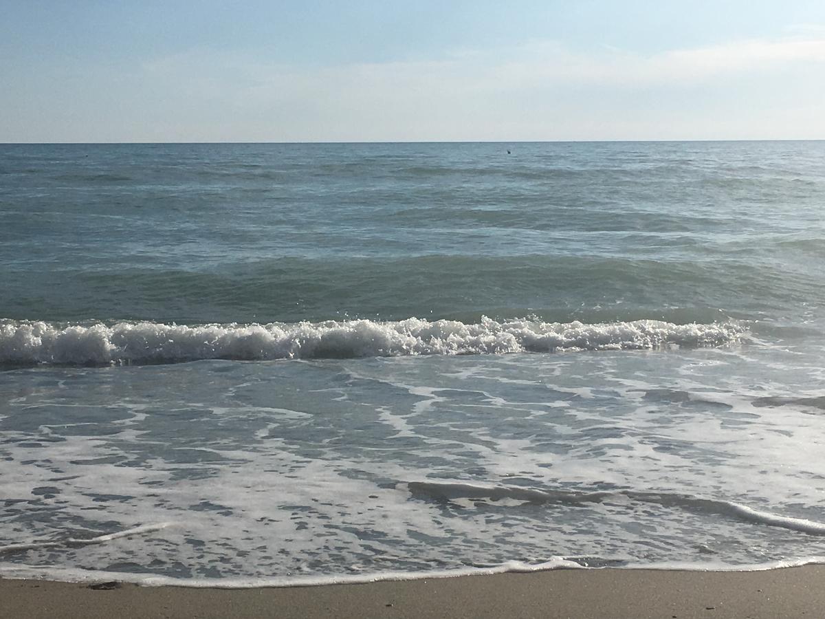 Отель African Beach Ippocampo Экстерьер фото